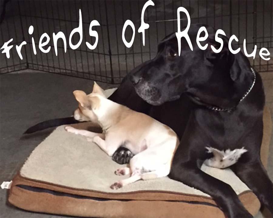 Friends+of+Rescue%3A+Do+It+FOR+the+Animals