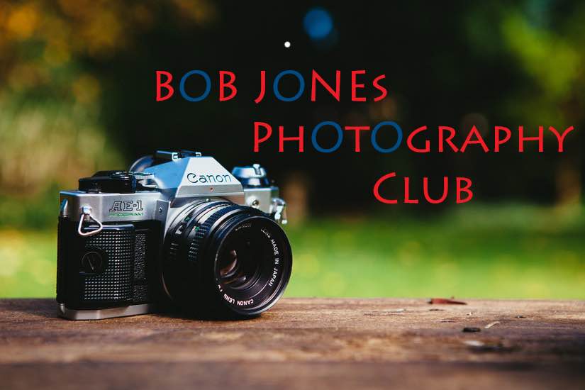 Photography Club: Making the Most of an Image