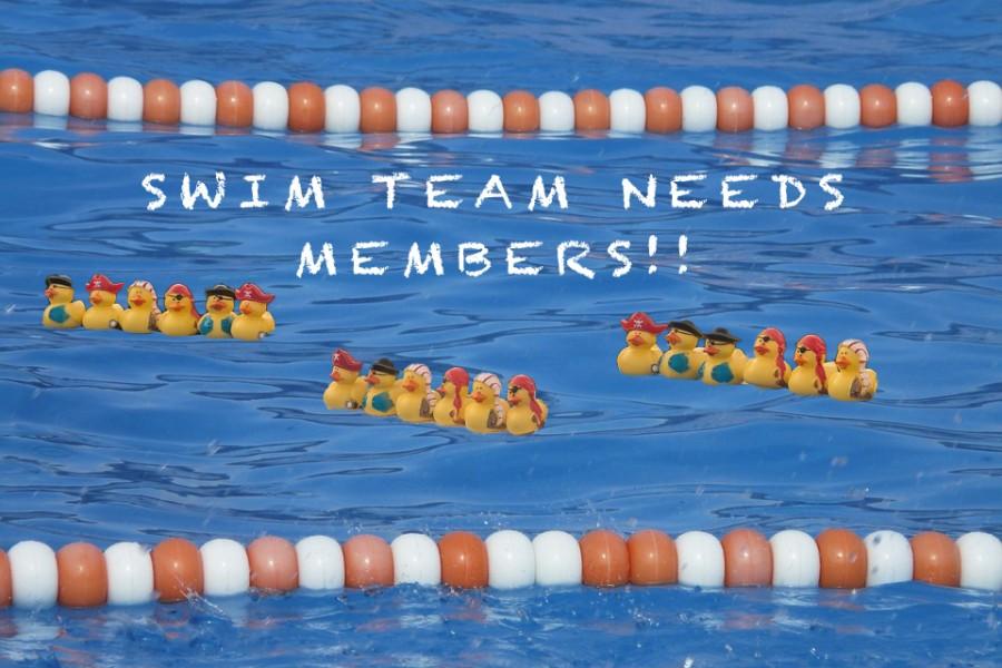 Swim Team: Trying Out for an Elite Team
