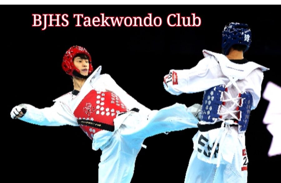 Picture documented from https://commons.wikimedia.org/wiki/File:Korea_Taekwondo_Lee_Daehoon_01_(7771941846).jpg