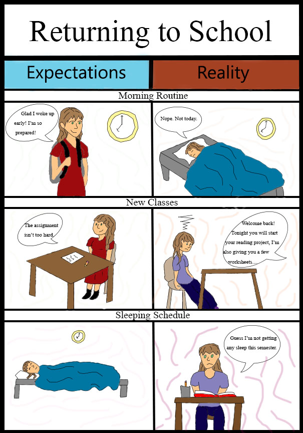 Returning to School: Expectations VS Reality