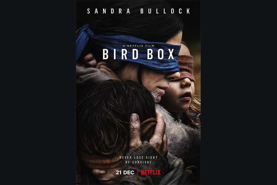 The dark and simple poster for BIrd Box sets a grim precedent for the film.