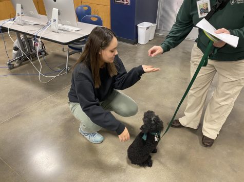 A Therapy Dog Named Oreo