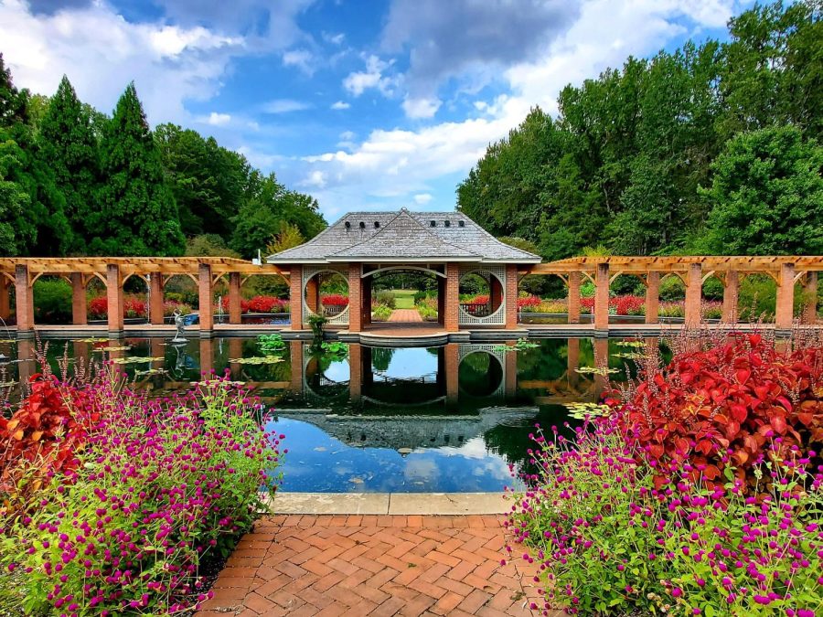 Want to Volunteer at the Botanical Gardens?