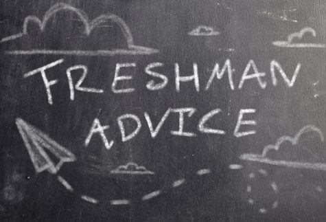 Freshman Advice to Survive High School
