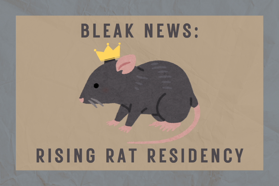 Bleak News with Lily: Rising Rat Residency