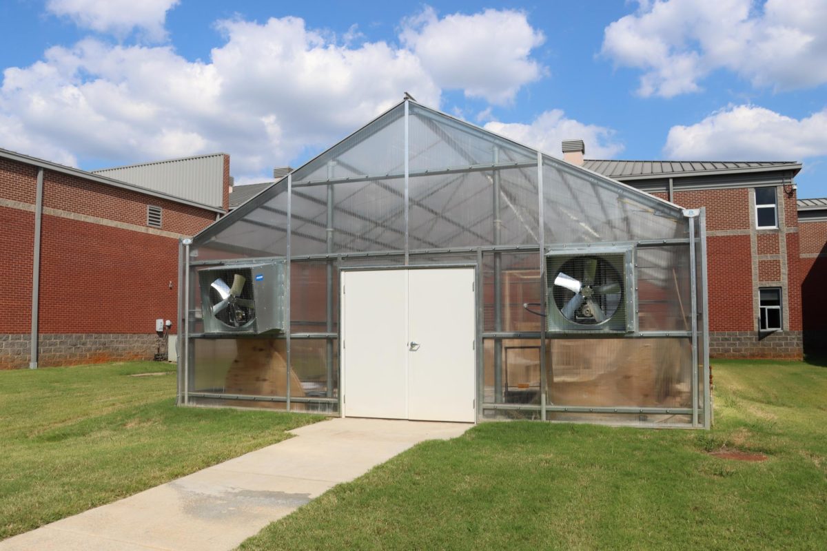 The Mystery of the Greenhouse